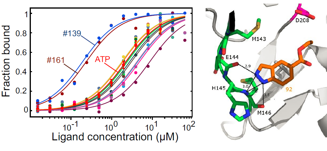 Microscale Thermophoresis (MST)