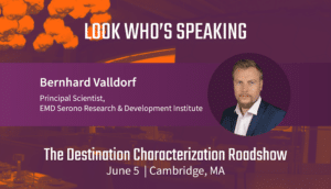 Bernhard Valldorf profile picture and purple speaker screen, blog