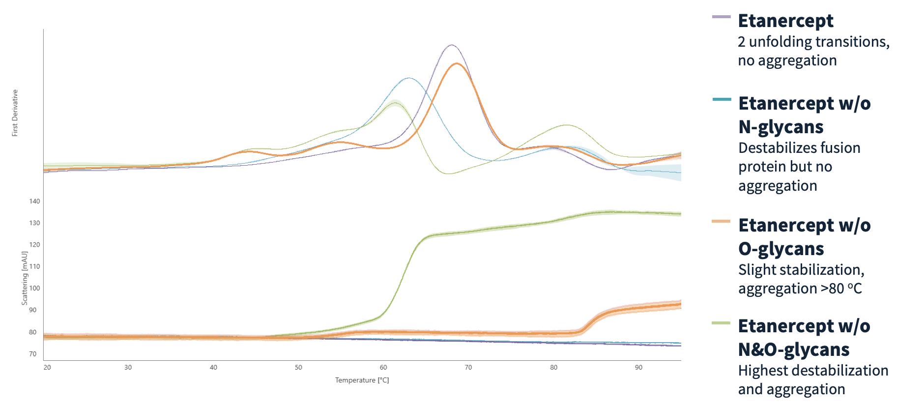 What influence does glycosylation or deglycosylation have on the stability of your protein?