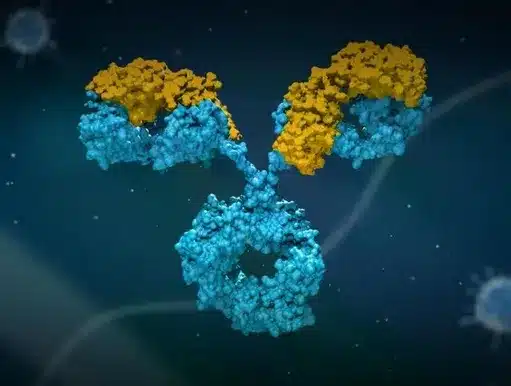 Four integrated technologies for biologics developability assessment